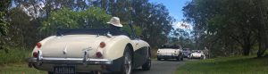 Morgans Heading out from amamoor Lodge